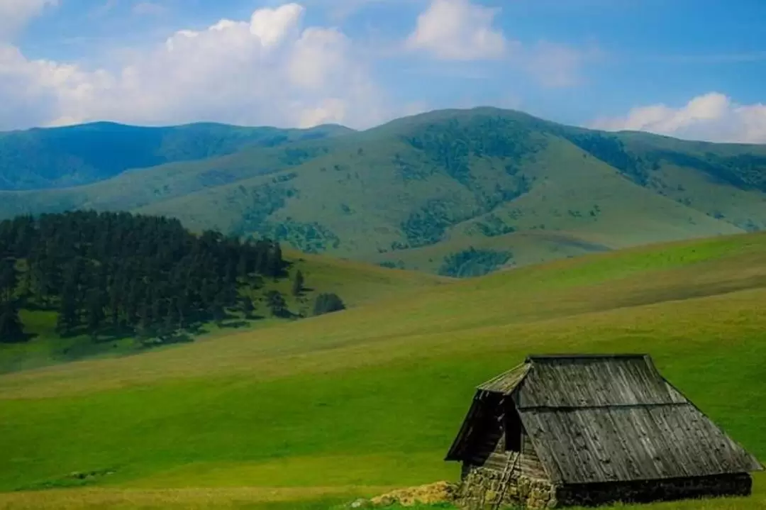 Zlatibor Mountain Private Day Tour from Belgrade