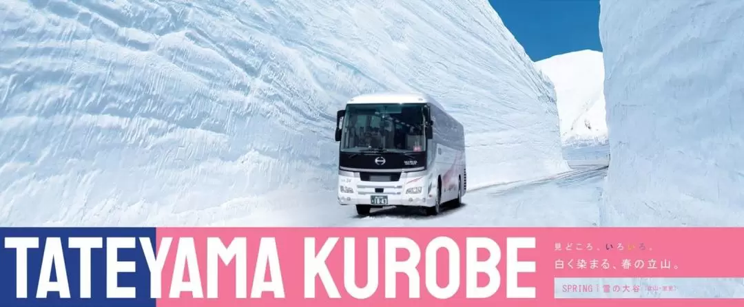 2D1N Kamikochi & Tateyama Kurobe Alpine Route/Kusatsu Onsen Tour 