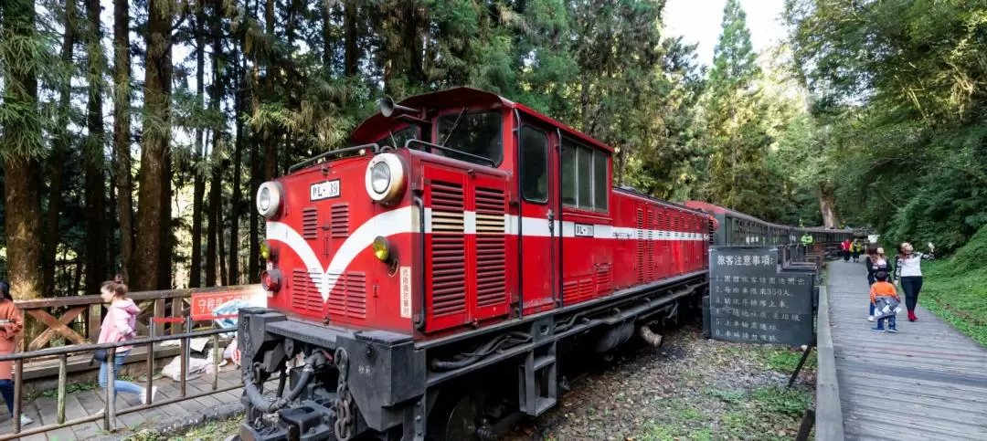 Alishan Forest Railway Day Tour from Taichung 