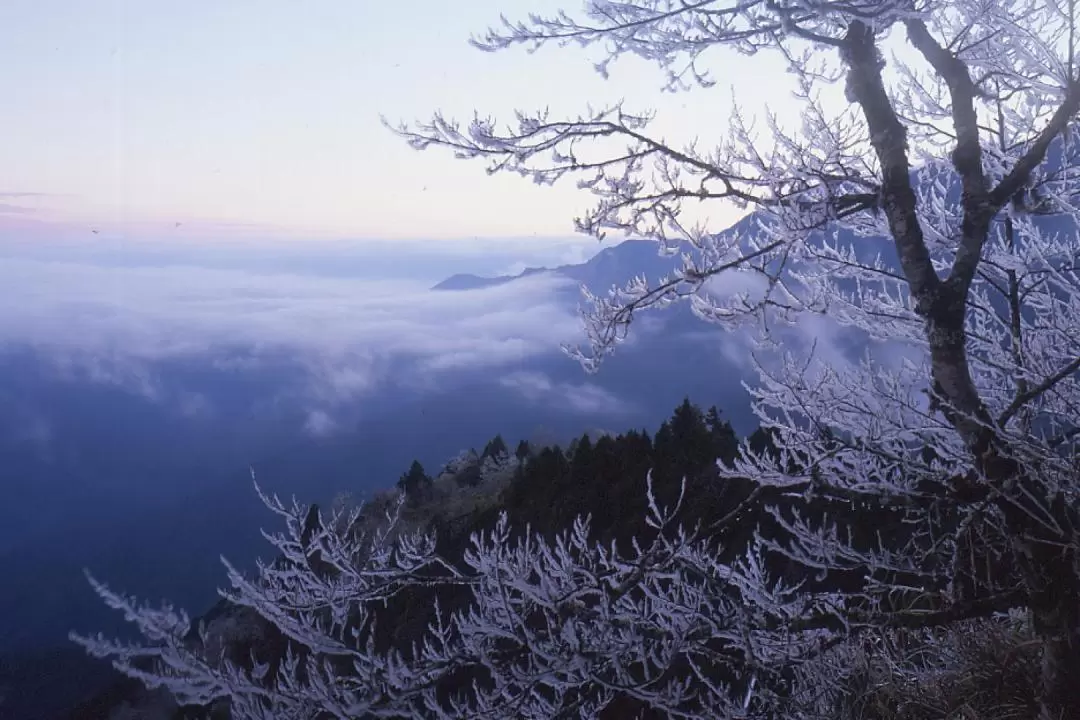 宜蘭太平山國家森林遊樂區門票