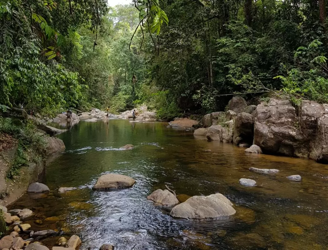 Sinharaja Forest Reserve Hike from Mirissa