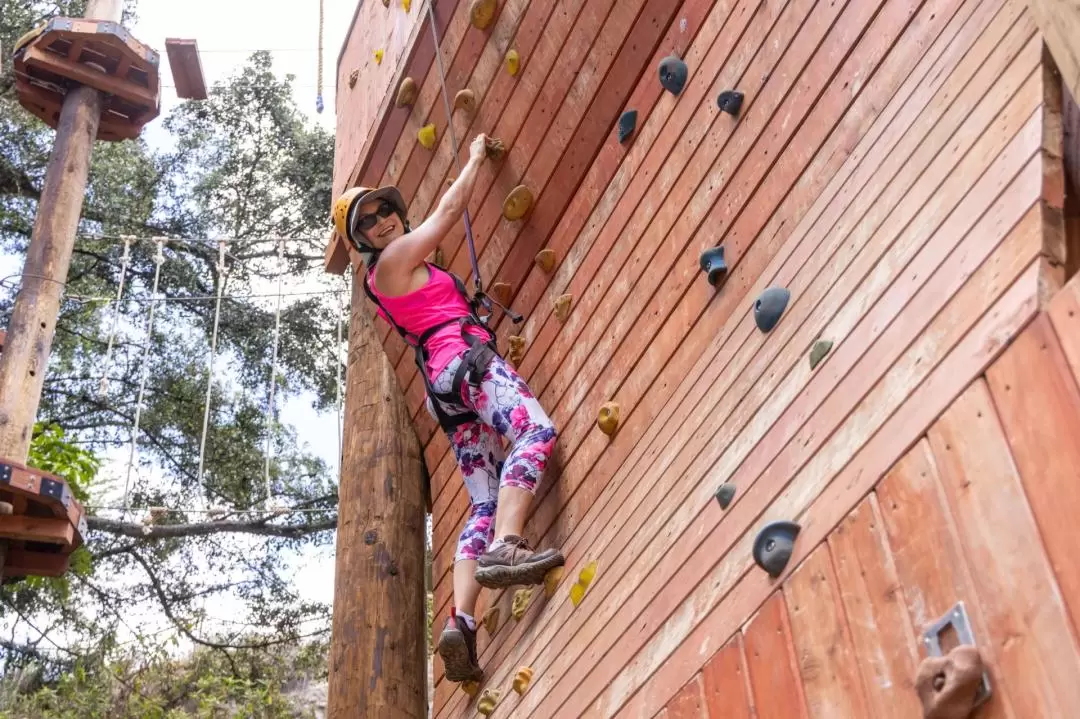 Coral Crater Adventure Tower Admission in Oahu