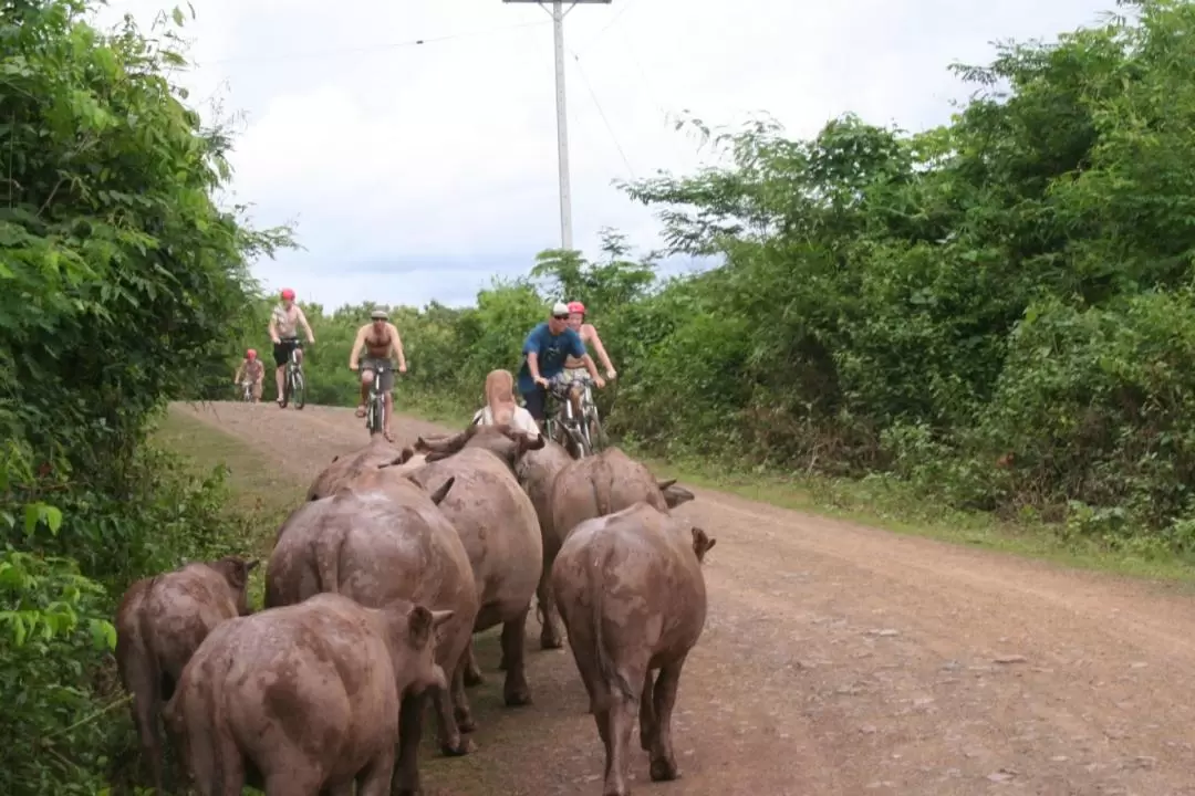 Tad Sae Waterfalls Bike and Kayak Join In Day Tour from Luang Prabang