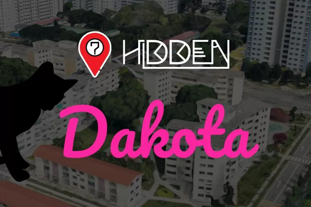 Hidden Dakota Immersive Outdoor Escape Game in Singapore