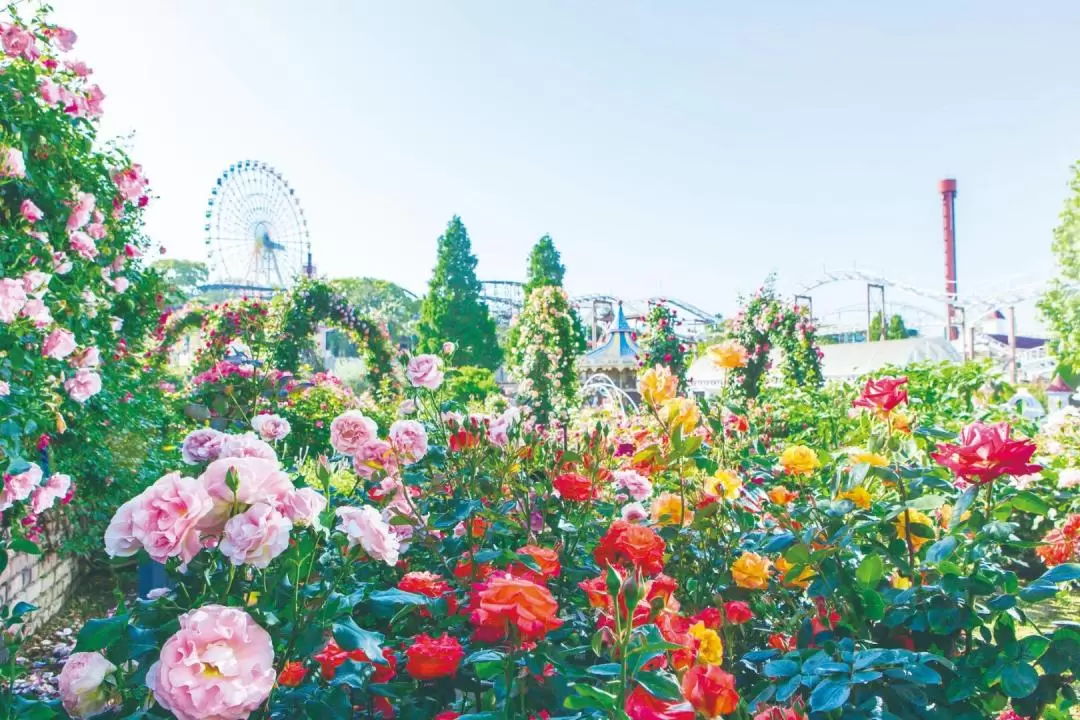 枚方公園門票