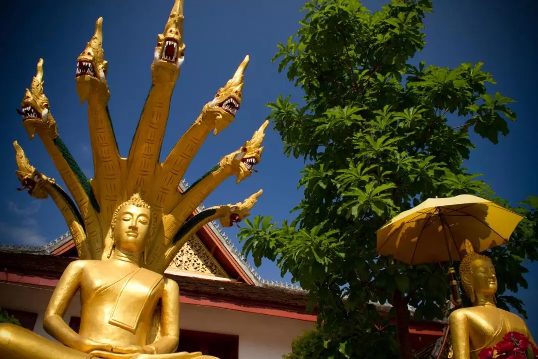 Luang Prabang Half Day City Tour