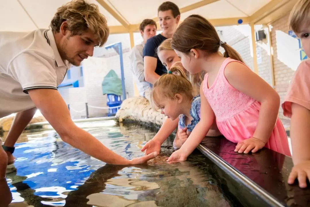 珀斯西澳洲AQWA水族館門票