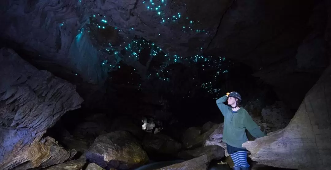 ワイトモ洞窟 土ボタル観賞プライベートツアー（ロトルア発）