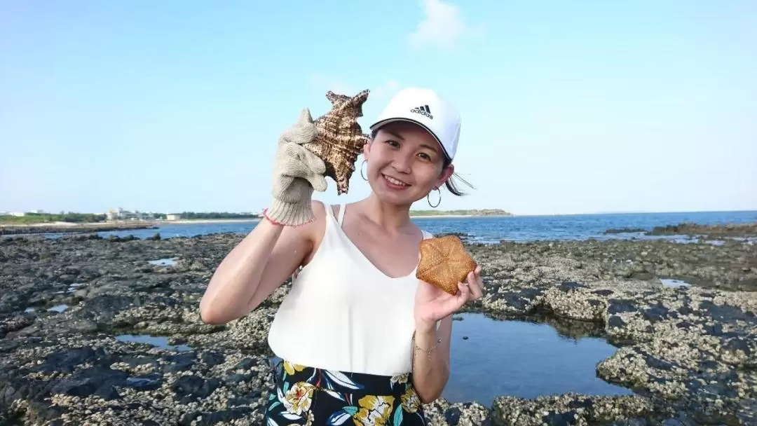 澎湖: 夜探龍宮潮間帶體驗