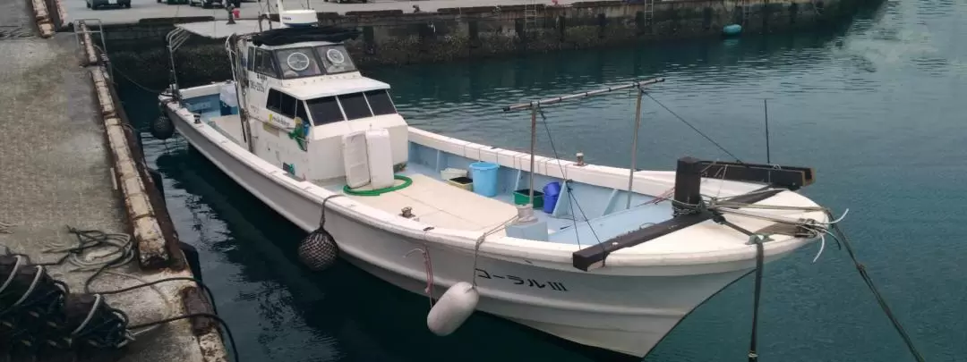Half-Day Fishing Experience in Naha with Pick up & Drop off Service