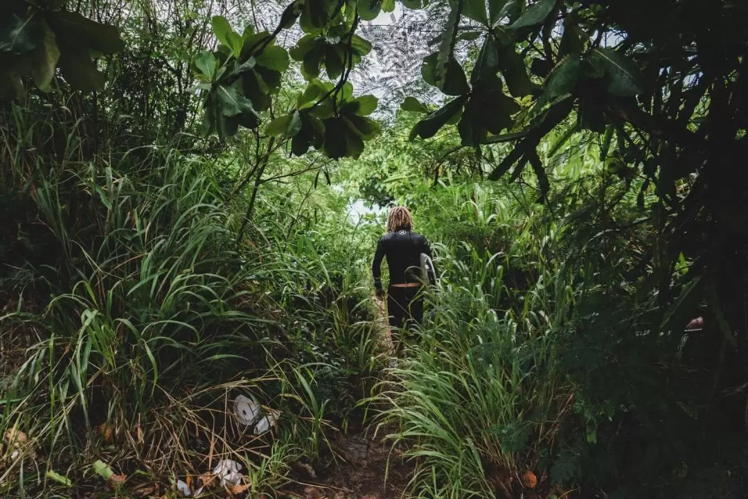 Phu Quoc Nature Discovery 