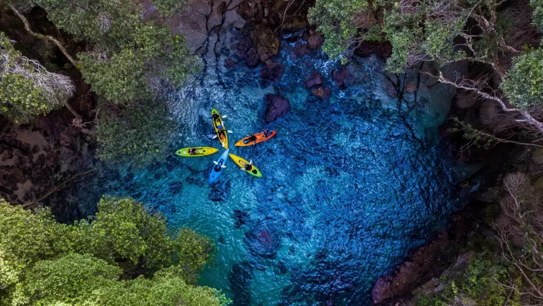 Whenuakura Island (Donut Island) Kayaking Tour from Hamilton