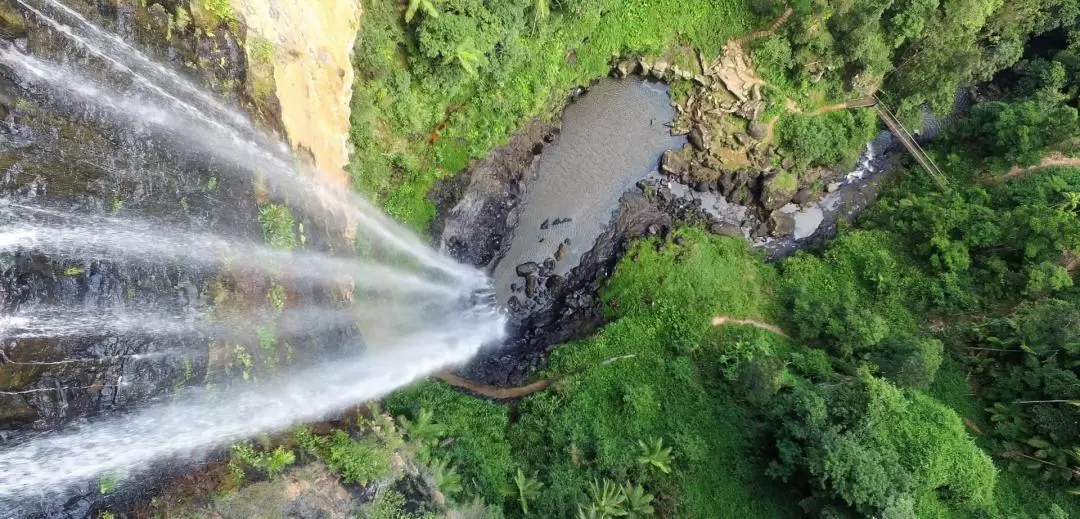 Natural Bridge and Springbrook Waterfalls Tour from Gold Coast