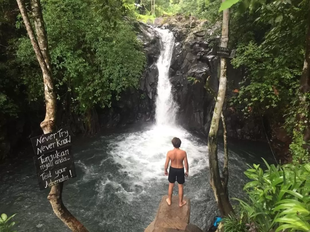 North Bali Waterfalls and Rice Field Trekking Day Tour