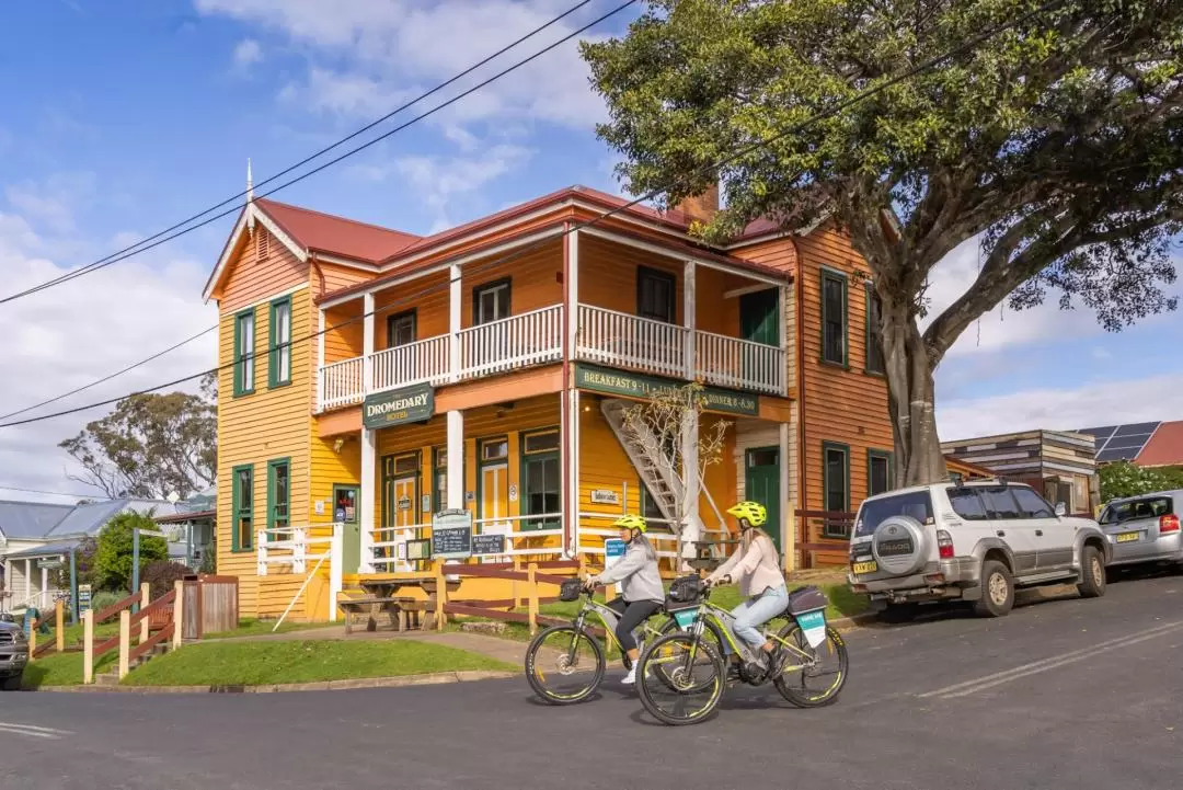 Narooma to Tilba e-Bike Hire (Return transfers) 