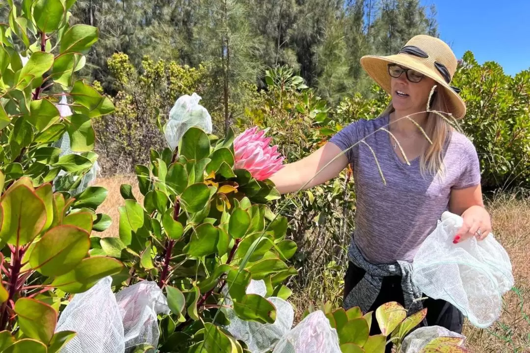 Margaret River Half Day Food & Farm Tour