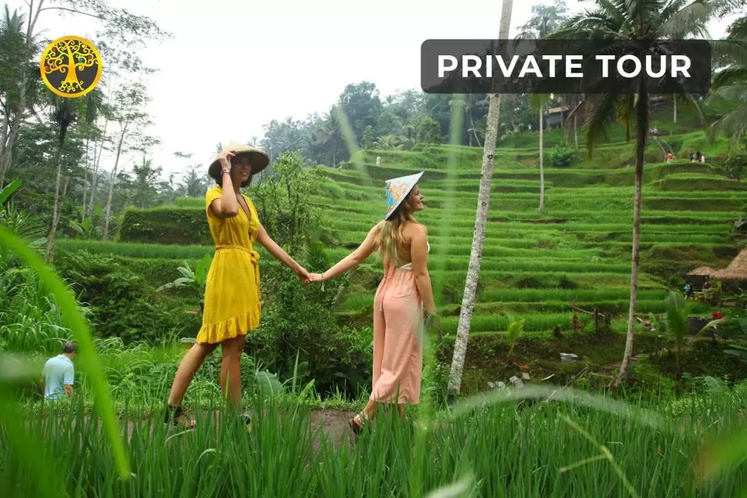 Ubud Nature Trip with Flying Fox, Spa or Jungle Swing Experience