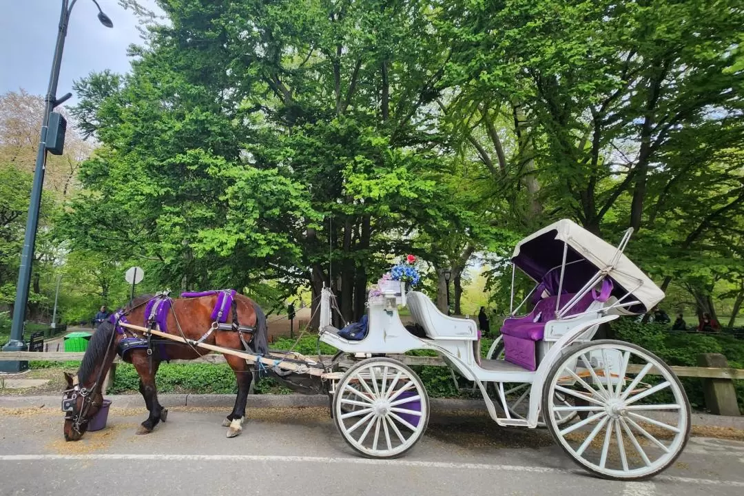 Standard Central Park Horse Carriage Ride Experience in New York