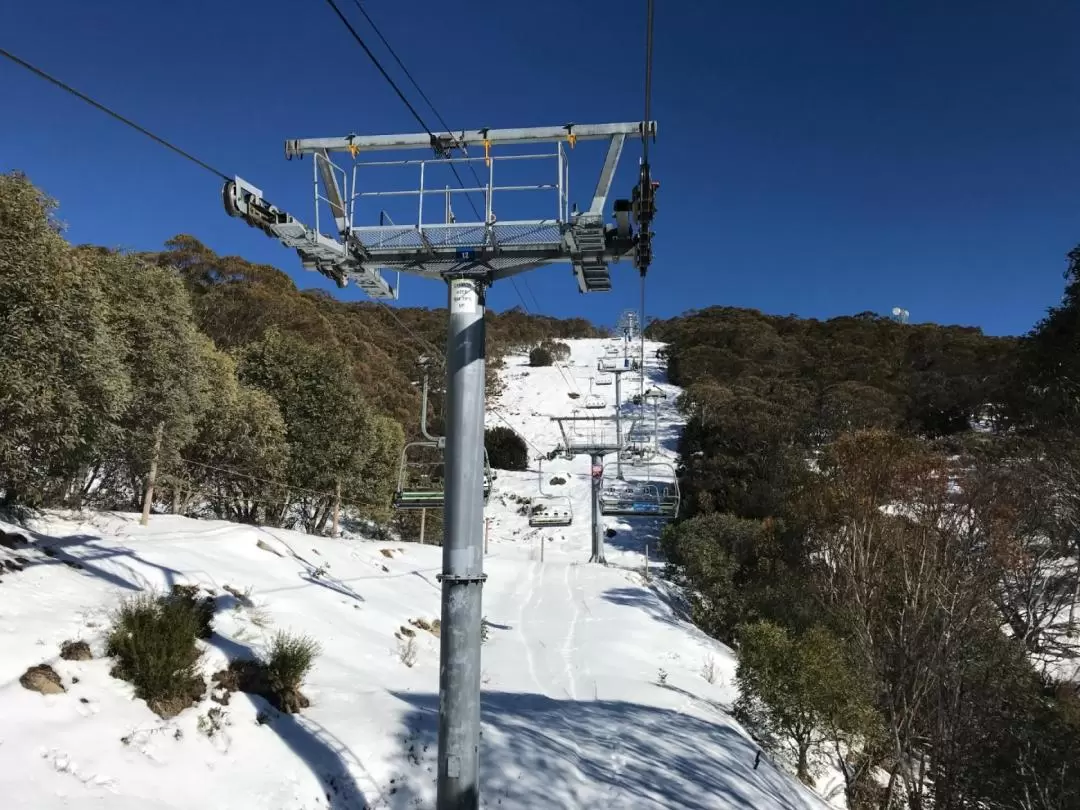 Mt Buller Guided Tour from Melbourne