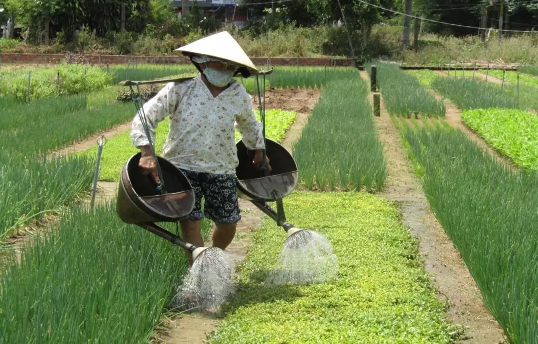 Tra Que Village, Thanh Ha Pottery Village, and Coconut Forest Countryside Tour with Aodai Rider