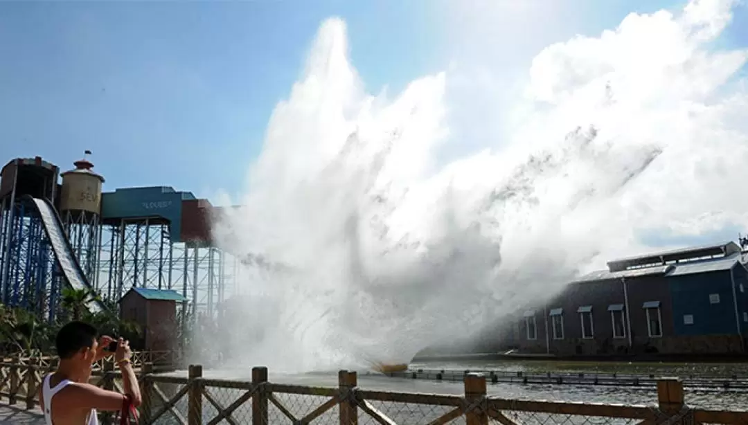 上海ハッピーバレー 入園チケット