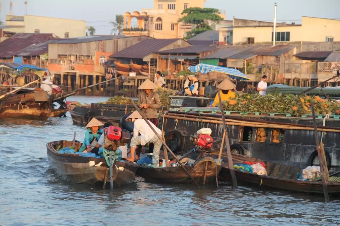 A Rustic Mekong Delta & Cai Be Day Tour From Ho Chi Minh City