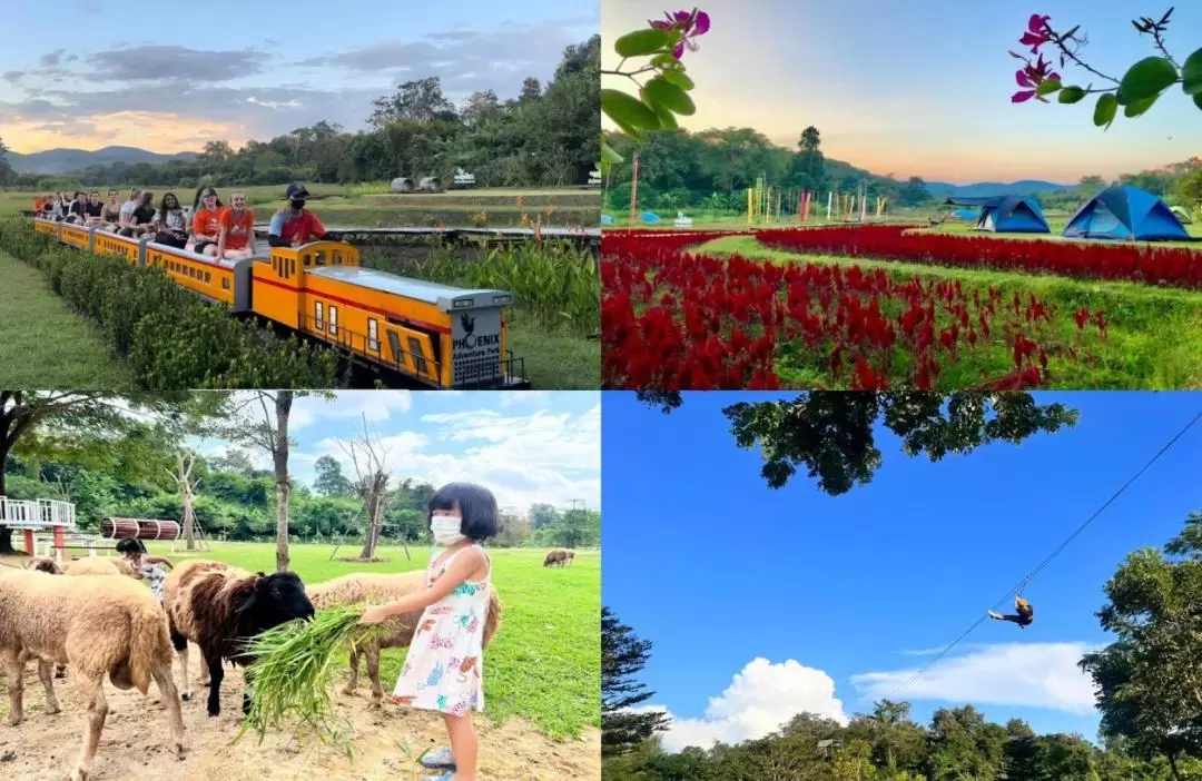 Phoenix Adventure Park Zipline Chiang Mai