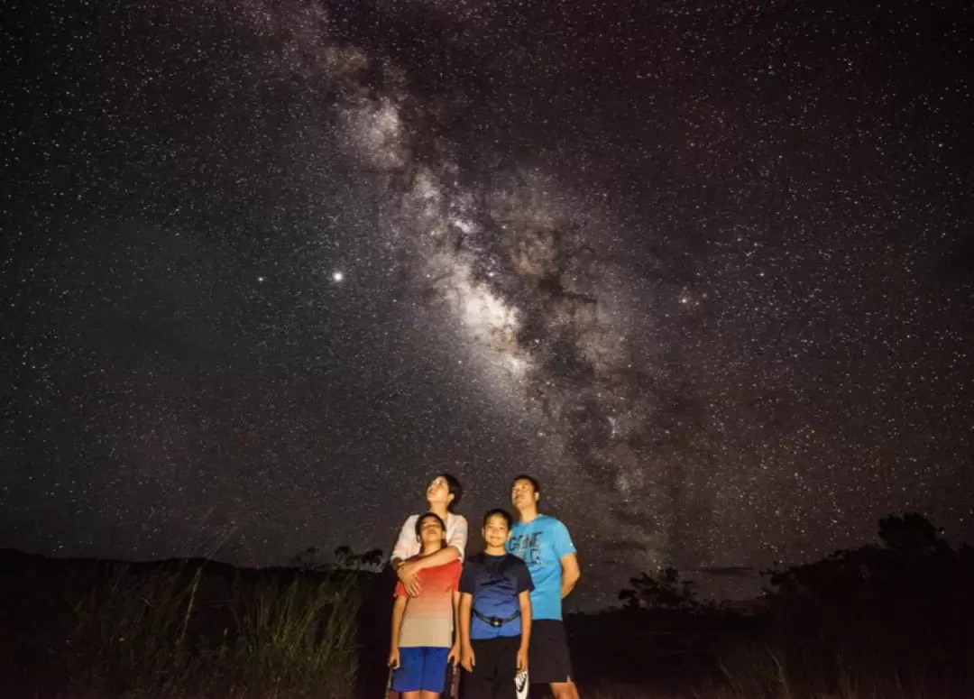 Star and Jungle Night Experience (Ishigaki&Iriomote island)