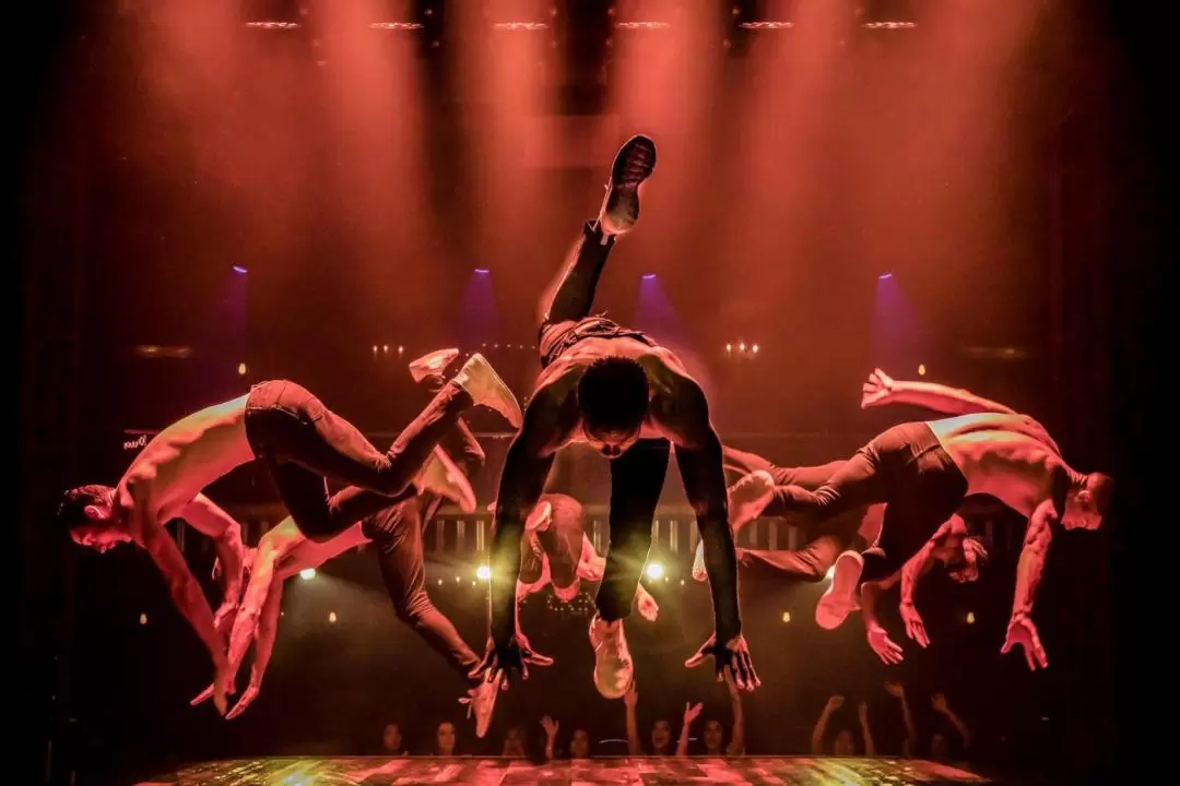 Magic Mike Live Show Tickets in London