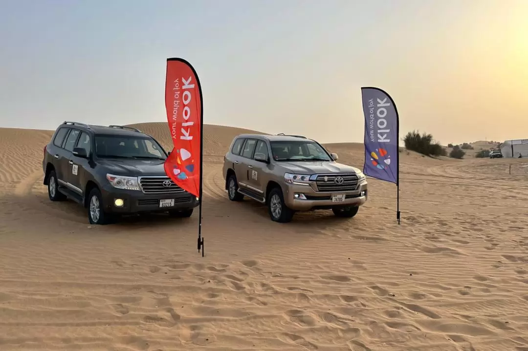 Desert Safari Tours in Dubai - Morning, Evening and Overnight