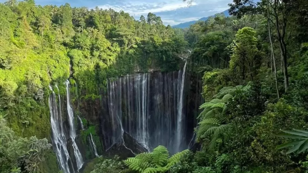 4天3夜 布羅莫火山 & 圖帕克塞烏瀑布 & 伊真火山之旅（日惹出發）