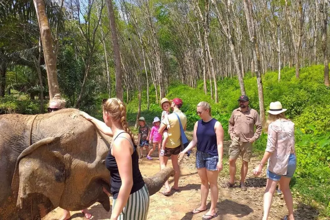 Krabi Elephant Care House with Huay Tho Waterfall