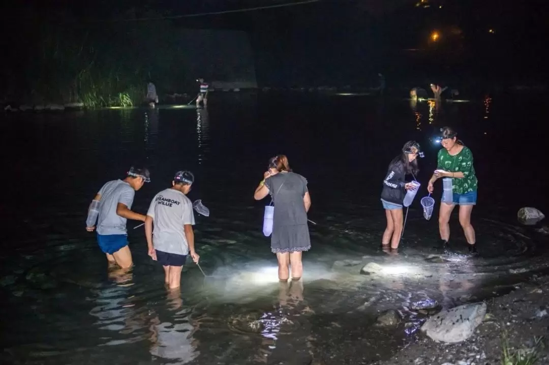 Hualien | Shrimp Catch & BBQ Experience at Night