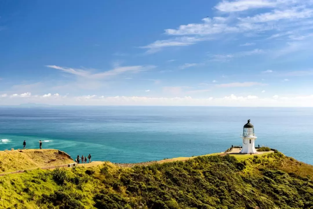 Cape Reinga and Ninety Mile Beach Full Day Tour