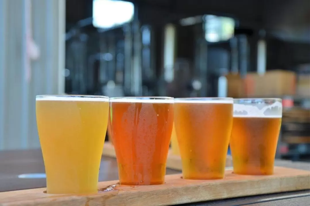 Cairns Brewery and Distillery Half Day Tour