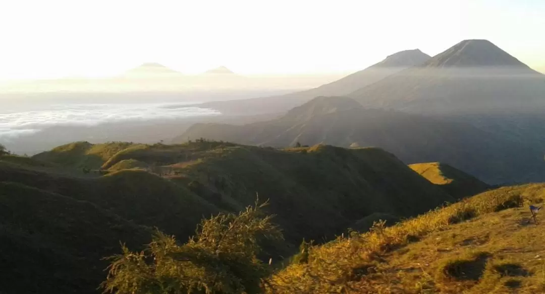 2D1N Mount Prau, Dieng Tour and Borobudur Temple