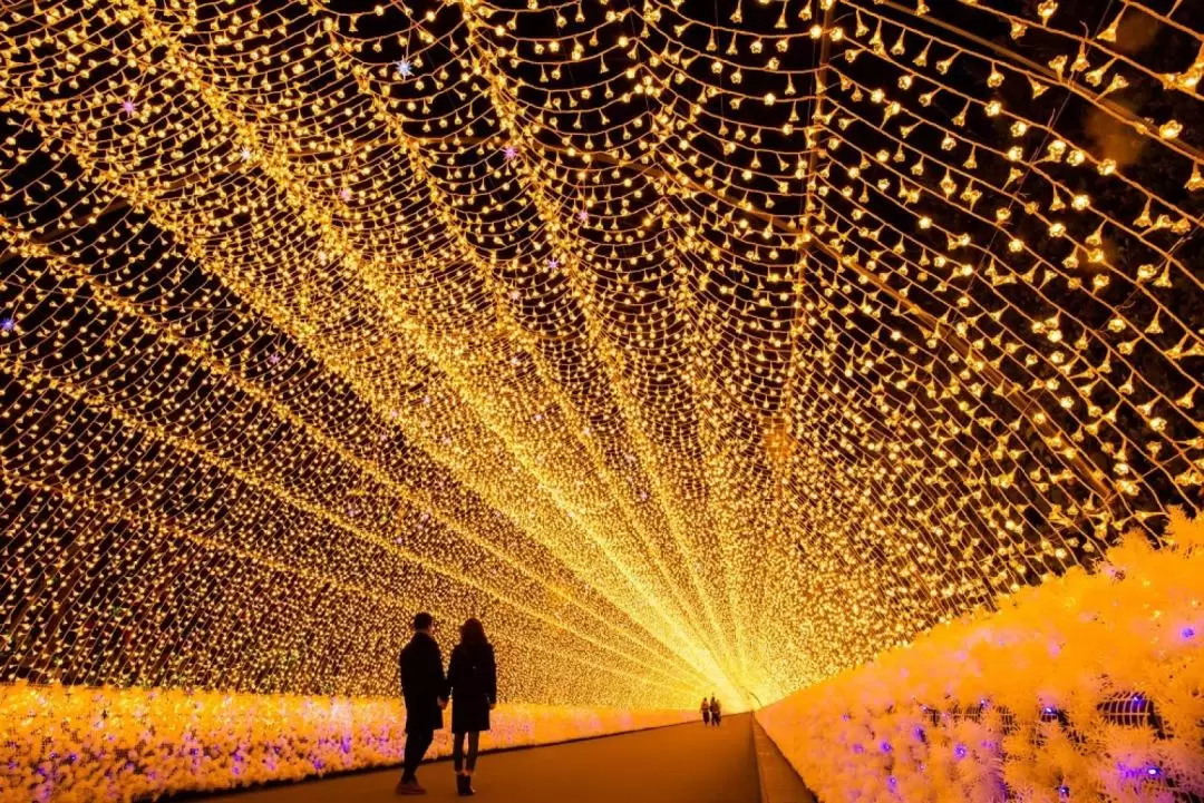 御在所ロープウェイ・なばなの里 日帰りツアー（大阪or京都発）