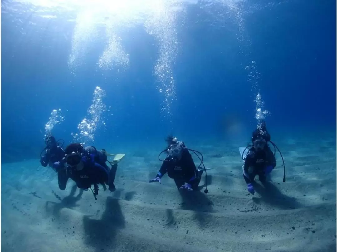 Trial Diving Experience in Yakushima