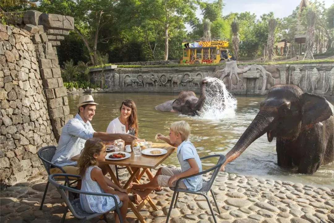 Breakfast with Orangutans at Bali Zoo 