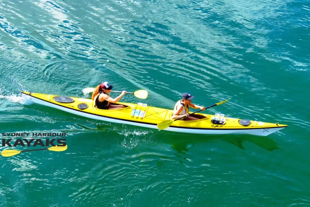 雪梨中港豪華雙人獨木舟租借（Sydney Harbour Kayaks 提供）