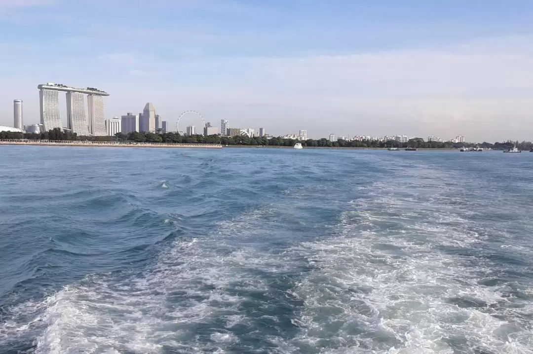 Guided Southern Island Cruise in Singapore