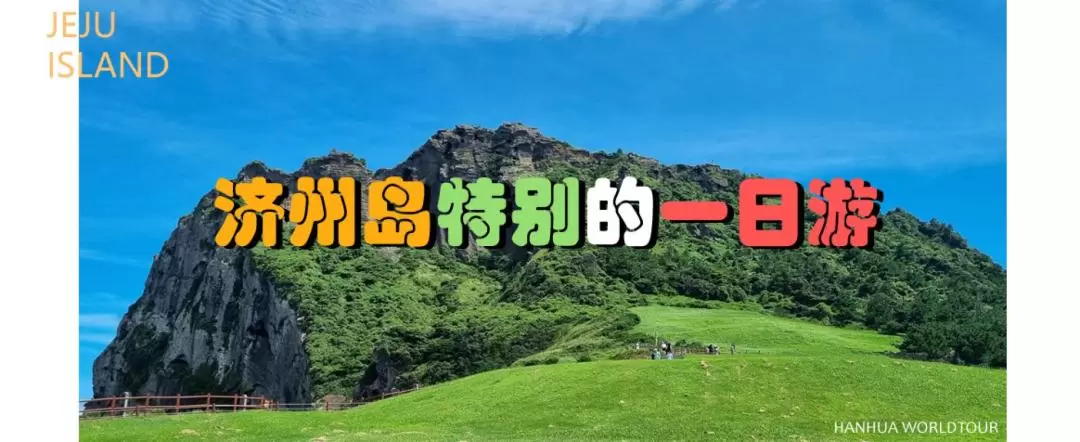 済州島 貸切チャーター1日ツアー