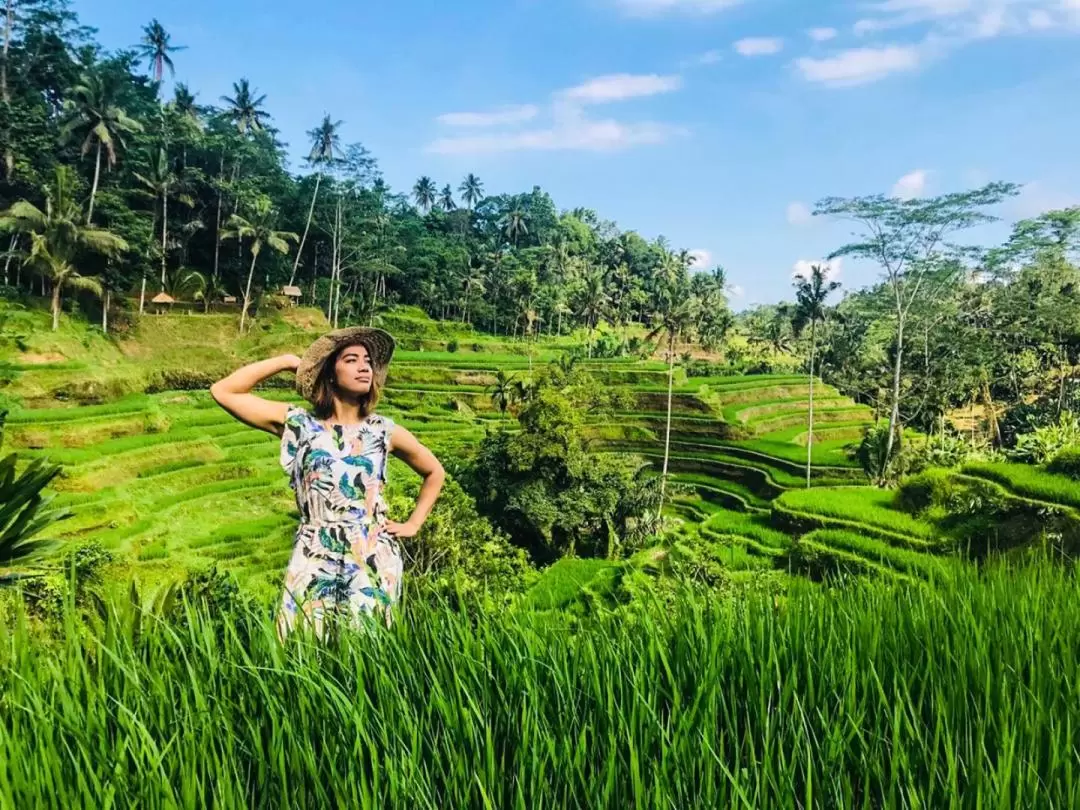 Ubud All-Inclusive Private Day Tour