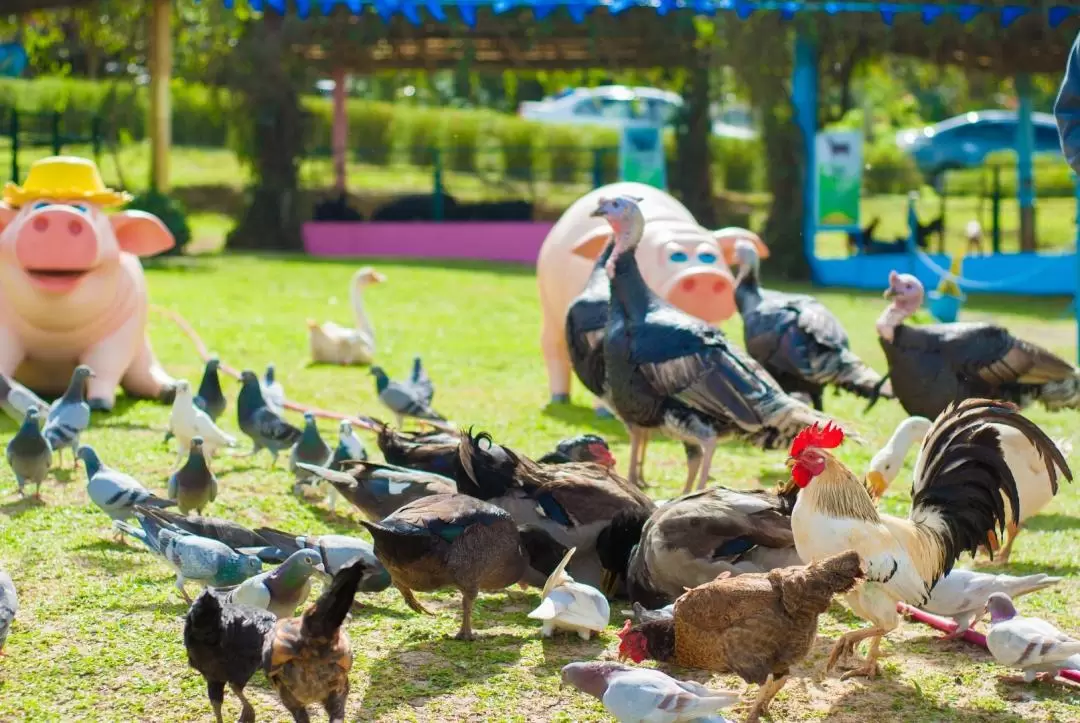 タガイタイ・パラディゾー動物園 入園チケット