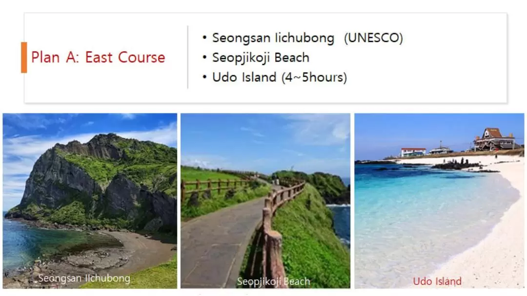 Jeju Private VIP Day Tour