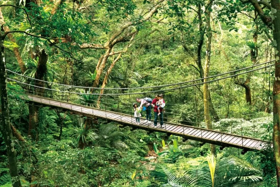 The Great Roots Forestry Spa Resort in Sanxia, New Taipei