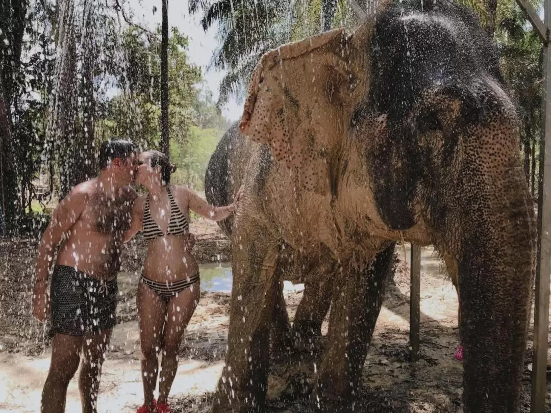 The Elephant Sanctuary Krabi Experience with Transfer