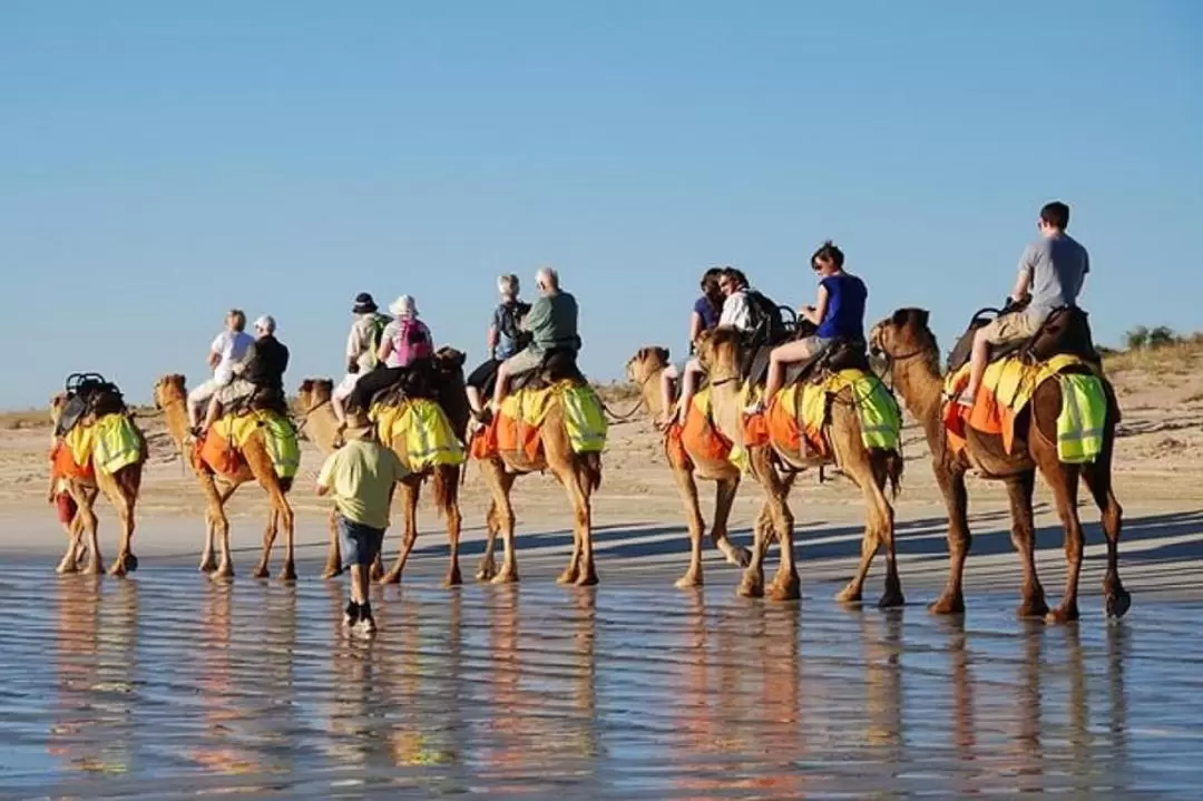 Camel Ride Experience in Djerba