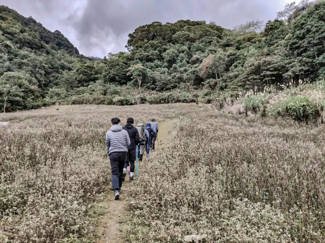 花蓮｜大禮大同部落二日遊｜同禮古道・砂卡礑林道