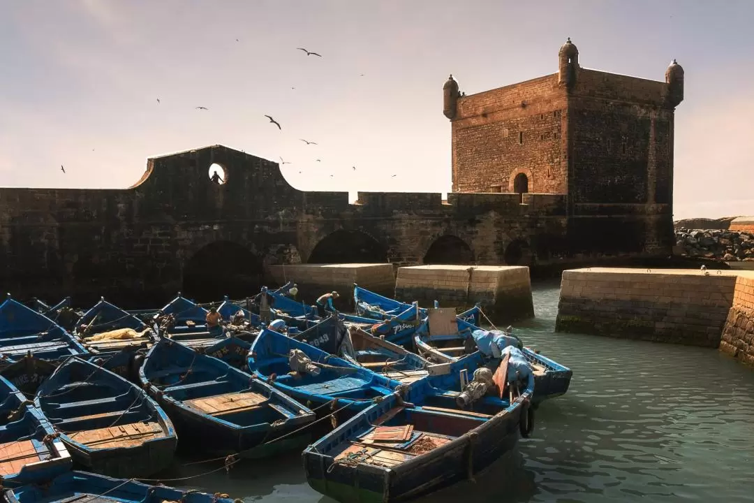 Essaouira Guided Day Trip From Marrakech